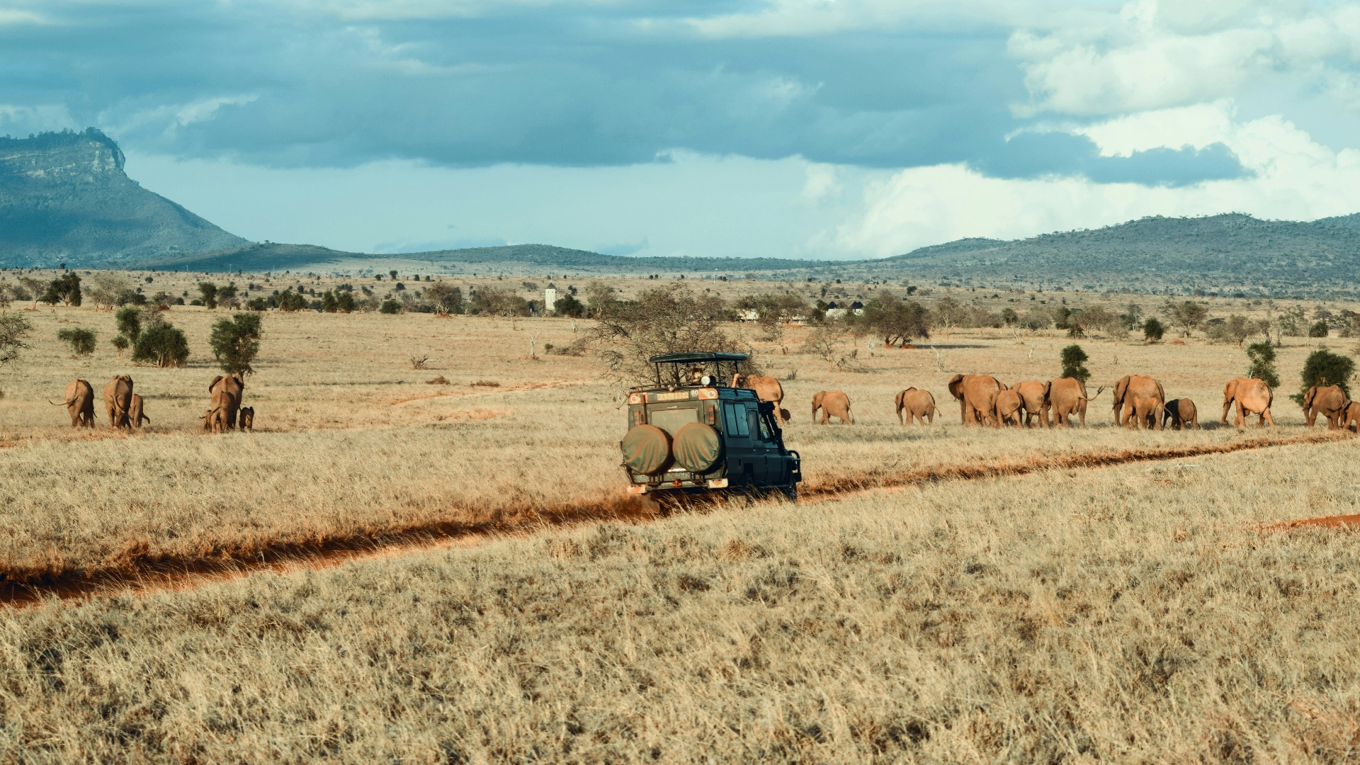 Ngorongoro Conservation Area