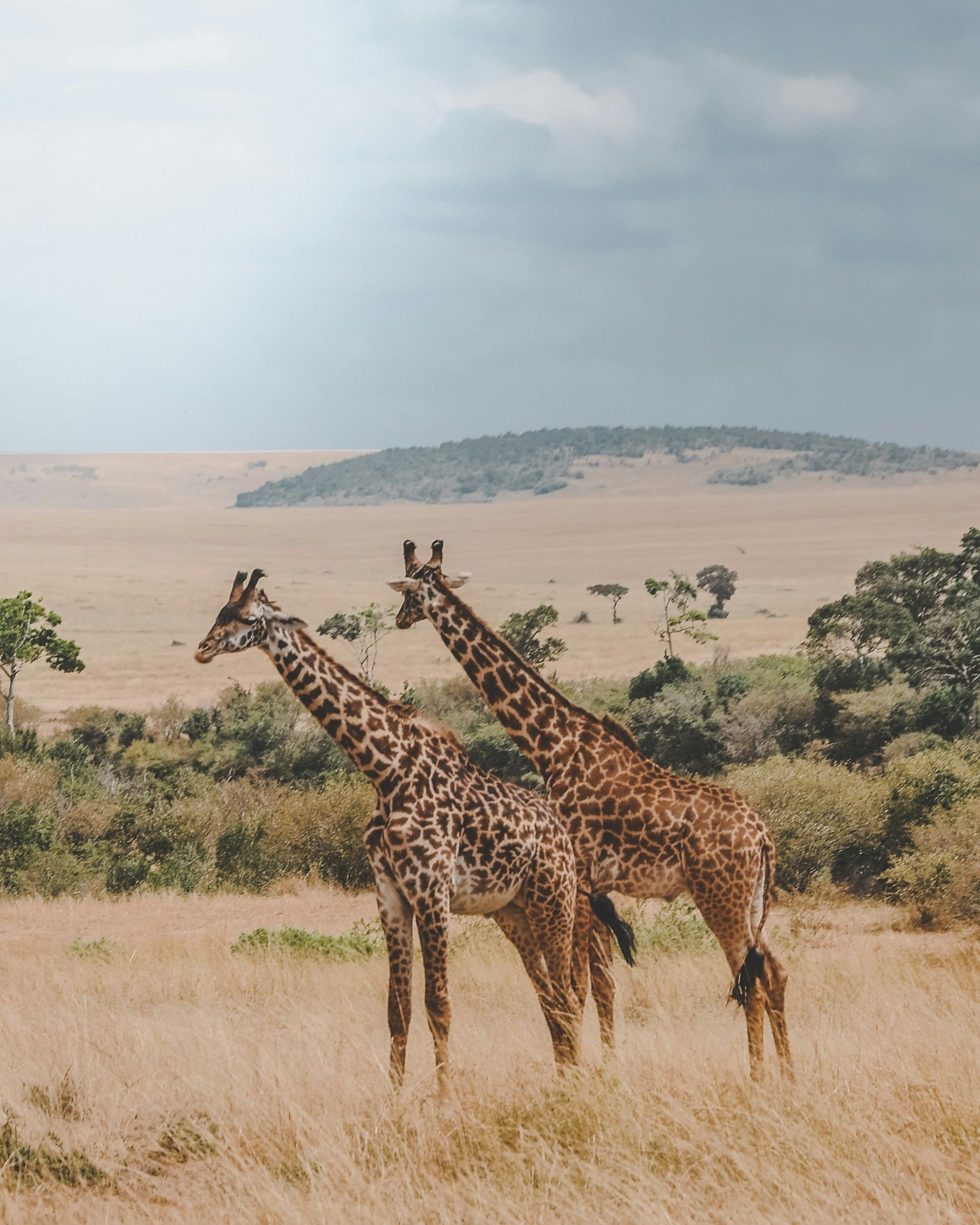 Serengeti National Park